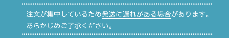 注文が集中しているため発送に遅れがある場合があります。あらかじめご了承ください。